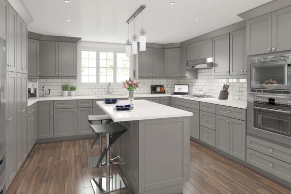 A Ash Gray1